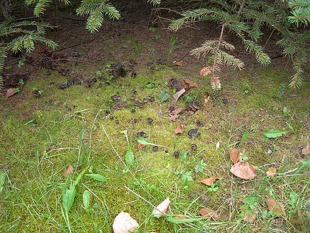 Una promettente primavera